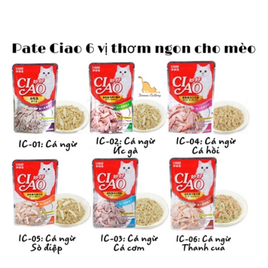 Pate gói cho mèo Ciao 60gr