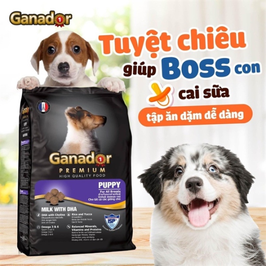 Thức ăn hạt cho chó con vị sữa & DHA Ganador 3kg