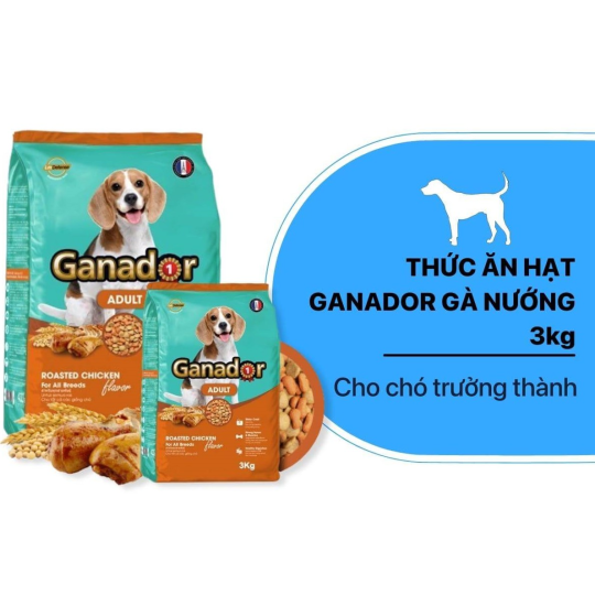 Thức ăn hạt cho chó trường thành vị gà nướng Ganador 3kg