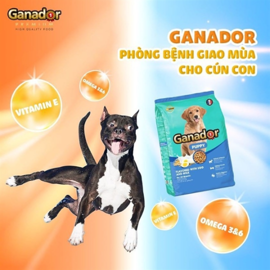 Thức ăn hat cho chó con trứng sữa Ganador 3kg