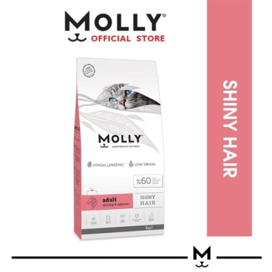Hạt cho mèo trưởng thành vị gà hổ trợ da & lông Molly 2kg