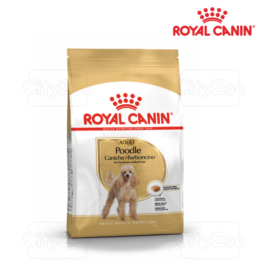 Hạt cho chó trưởng thành Poodle Adult Royal Canin 500gr