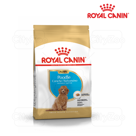 Hạt cho chó con Poodle Puppy Royal Canin 1.5kg