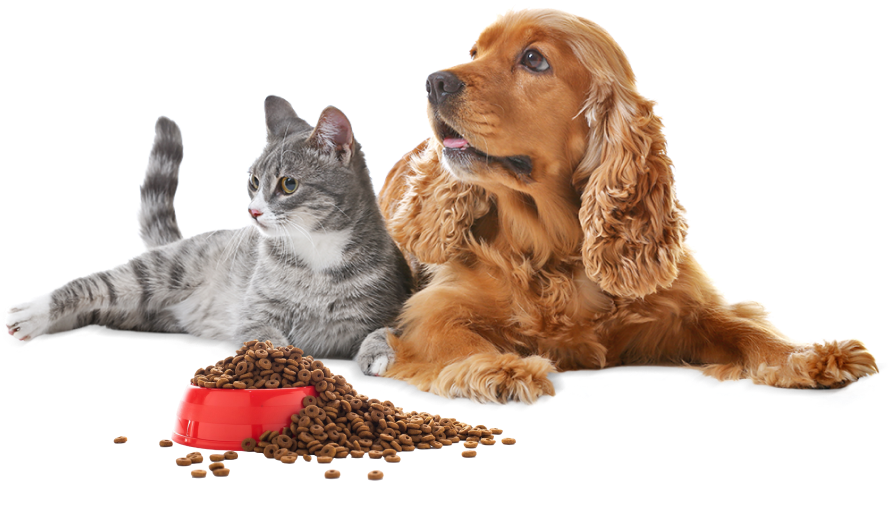 banner CF Pet Shop